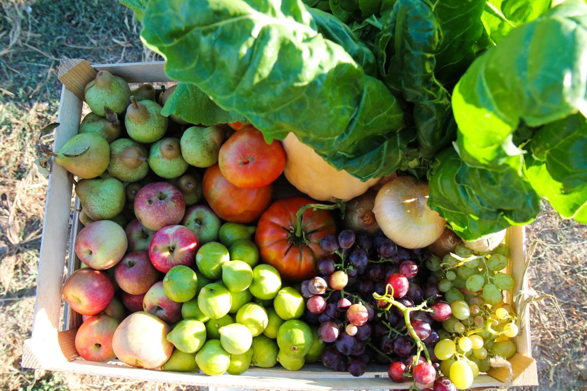 Chitaka'S Organic Farmhouse In Ribatejo Santo Estevao  エクステリア 写真